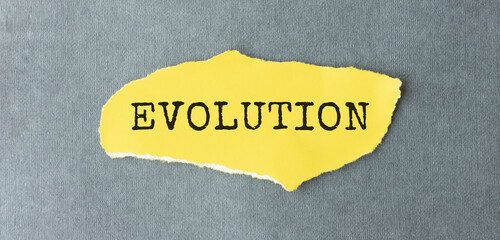 word Evolution on a yellow piece of paper.