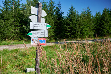 Na szlaku © Dariusz