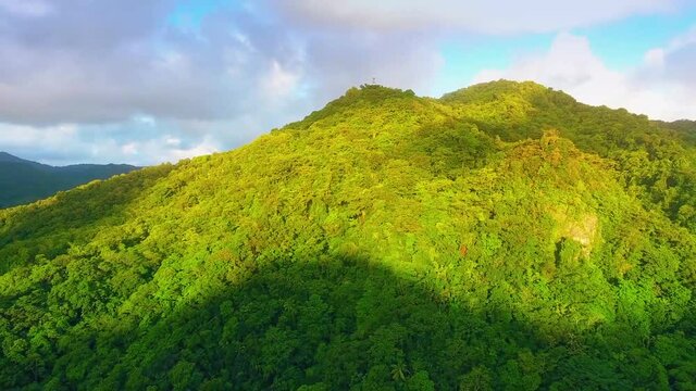 Forest-covered hill bathed in sunshine