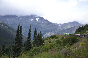 Fototapeta premium Yukon Train Alaska
