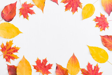 Naklejka na ściany i meble Flat lay frame with colorful autumn leaves on a white background