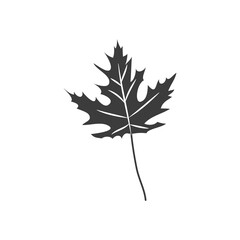 autumn maple leaf icon, silhouette style