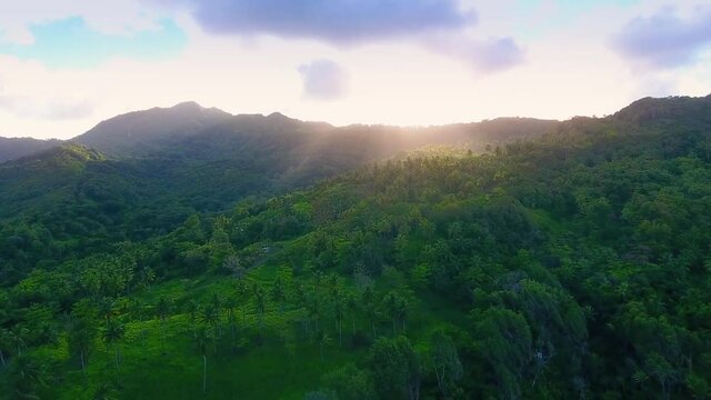 Sun shines over forest-covered hills