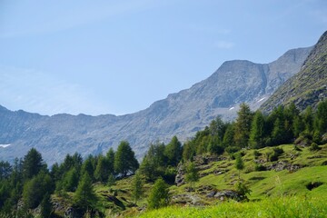 Fototapeta na wymiar Landschaft Passeiertal