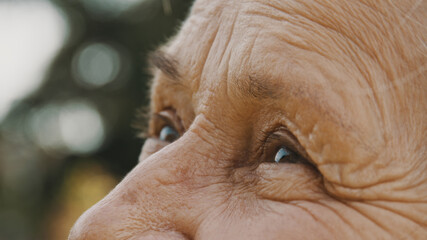 Close up, eyes of old woman in the park. looking up in the sky. High quality photo