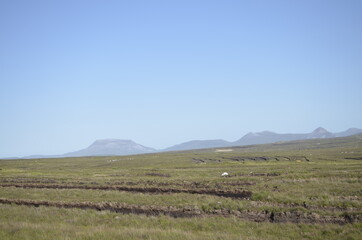 Obraz premium landscape with mountains