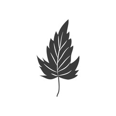 red maple leaf icon, silhouette style