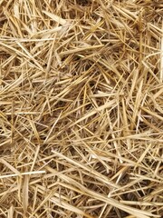 straw bale background