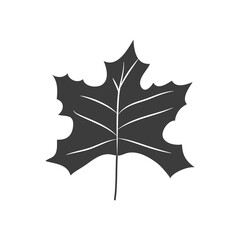 sugar maple leaf icon, silhouette style