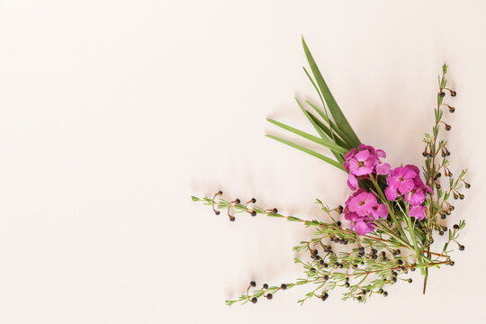 Top view of purple wallflowers and boronia stems on the table