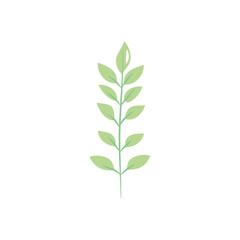 ash leaf icon, flat style