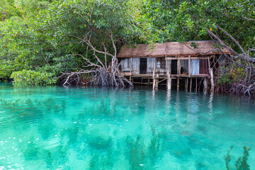 Fototapeta na wymiar Old wooden house in mangrove forest blue lagoon. Sulawesi, Indonesia