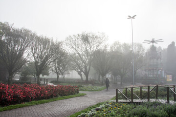 Naklejka premium flowers in the square in Nova Petrópolis , Rio Grande do Sul