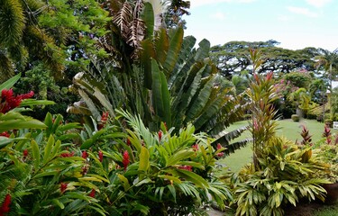 Tropical Botanical garden at an old sugar plantation on the Caribbean Island of St Kitts