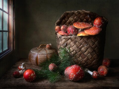 Still life with forest poisonous mushrooms