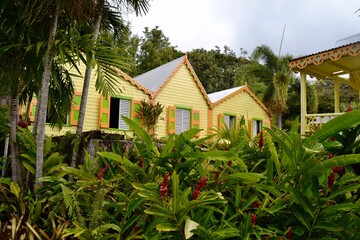 Lush Tropical Garden on the Caribbean Island of St Kitts