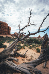 Obraz premium arches20