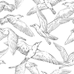 Seamless background with hand drawn seagulls, black and white