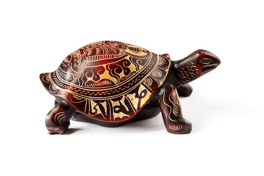Turtle with the image of the Buddha on the shell, white background.