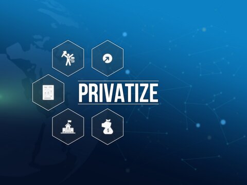 privatize