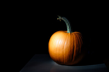 big pumpkin on a black background illuminated by an artificial light source