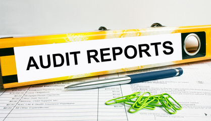 Text Audit Reports on the folder that is located on the financial reports with blue pen and green paper clips