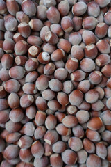Raw hazelnuts background close up