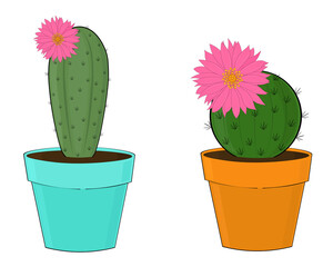 Set of cactus with flowers in pots vector illustration