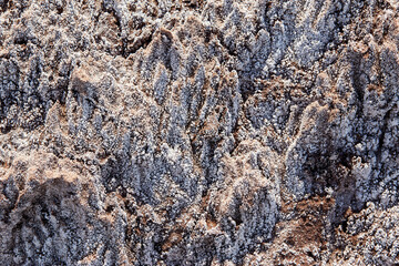 Soil salinity and cracks background texture