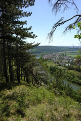 Landschaft und Weinberge am Kallmuth bei Homburg am Main, Markt Triefenstein, Landkreis Main-Spessart, Unterfranken, Bayern, Deutschlan
