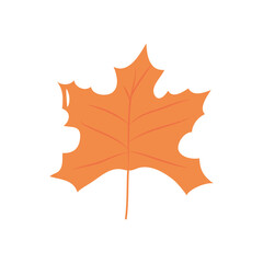 sugar maple leaf icon, flat style