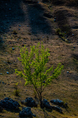 Beautiful landscape in village Rogojeni in Moldova, Europe. Autumn nature. The natural landscape of limestone rock, eroded by the river.