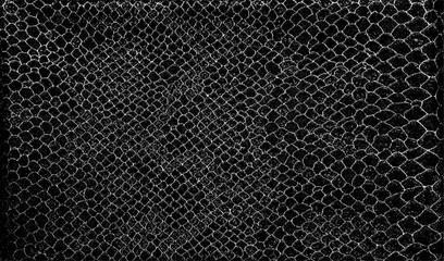 Snakeskin pattern imitation. Lines and spots structural texture. Cool and artsy faux leather background. Abstract vector illustration. Black isolated on white. EPS10