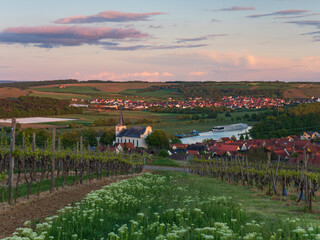 Fototapeta premium Landschaft und Weinberge bei Wipfeld, Landkreis Schweinfurt, Unterfranken, Franken, Bayern, Deutschland