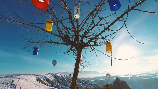Colored lanterns adorned the winter tree.