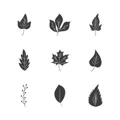 maple leaf and autumn leaves icon set, silhouette style