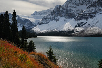 Autumn grass and Crowfoot mountain glacier at Bow Lake