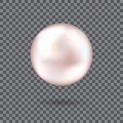 Pearl 3D shining realistic for luxury accessories isolated on transparent background. Vector Illustration. 