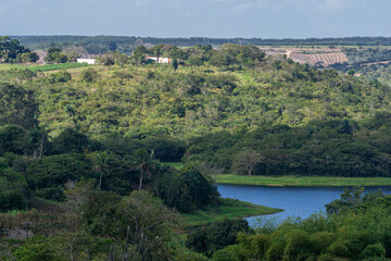 Obraz premium Paudalho, interior of the state of Pernambuco. Countryside life.