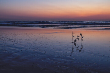 Sunset at North Sea Kijkduin Beach in the Netherlands where the land, sea and sky meet