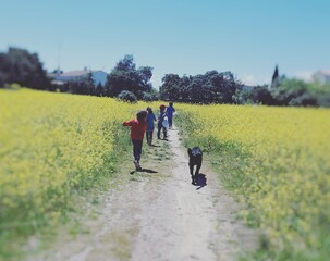 Fototapeta premium niños caminando por el campo
