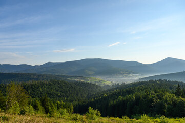 Carpathian mountains summer sunset landscape with sun and alpine pines