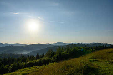 Fototapeta na wymiar Carpathian mountains summer sunset landscape with sun and alpine pines