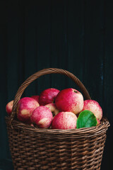 Basket with pink apples. Harvest from the home garden.