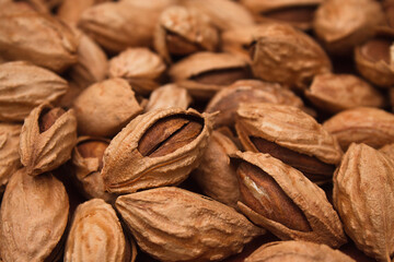 Roasted almonds in shells. A handful close-up.