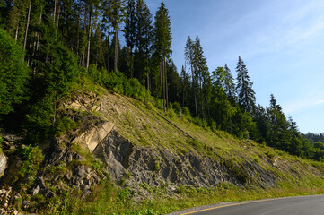 Obraz premium mountains landscape with sun and alpine pines. Sunrise