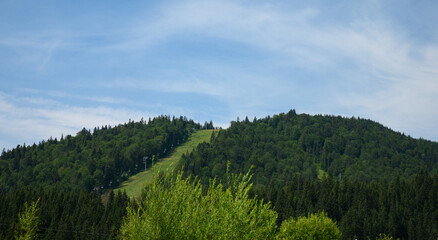 mountains landscape with sun and alpine pines. Sunrise