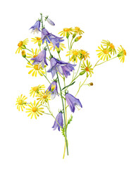 Bouquet of bellflowers and yellow flowers on a white background