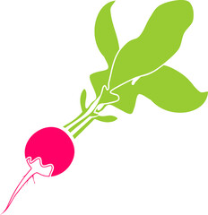 Pink radish with green leaves in flat style isolated on white background