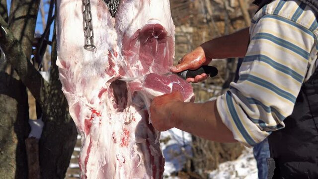 Pork Carcasses Hang On Metal Hooks. Butchers Cut Lard From Pork Carcasses